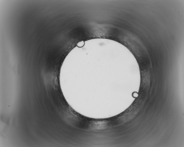 X0000116830313200912181059