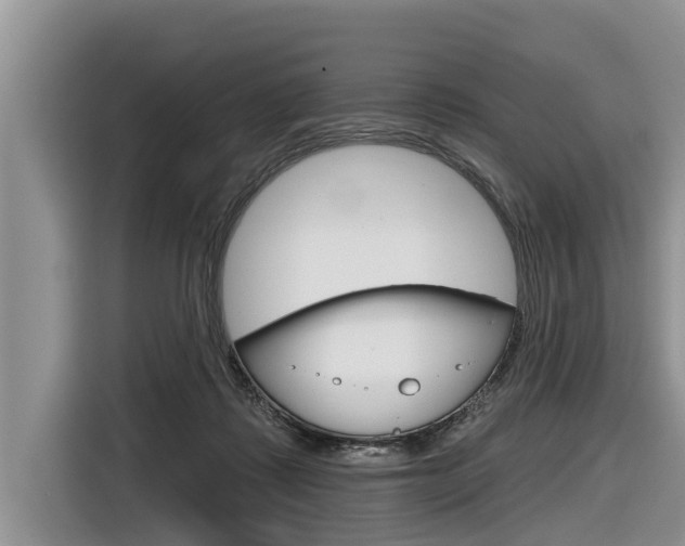 X0000116830315200912181059