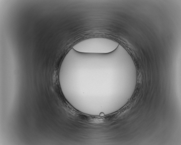 X0000116830318200912181059