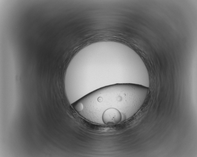 X0000116830319200912181059