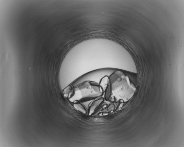 X0000116830324200912181059