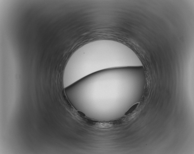 X0000116830327200912181059