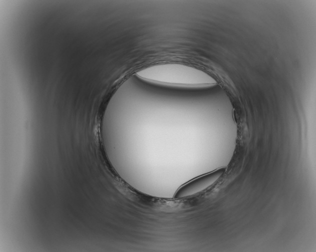 X0000116830329200912181059