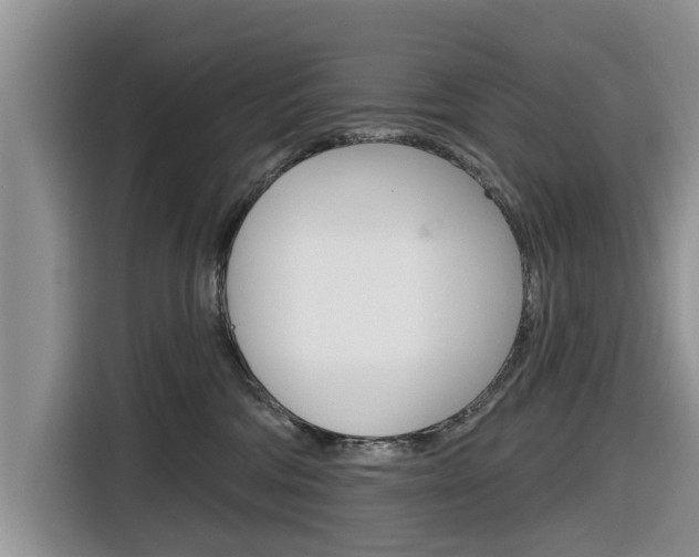 X0000116830330200912181059