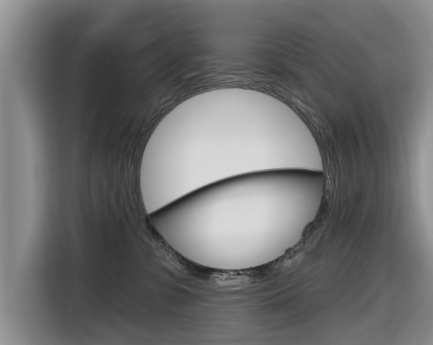 X0000116830331200912181059