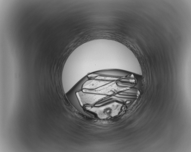 X0000116830332200912181059
