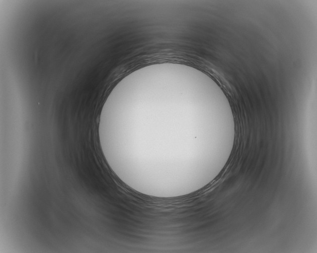 X0000116830333200912181059