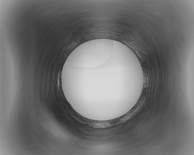 X0000116830334200912181059