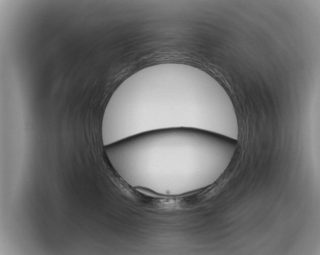 X0000116830335200912181059