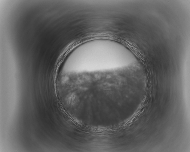 X0000116830339200912181058