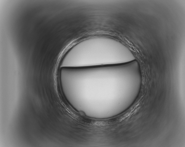 X0000116830341200912181058