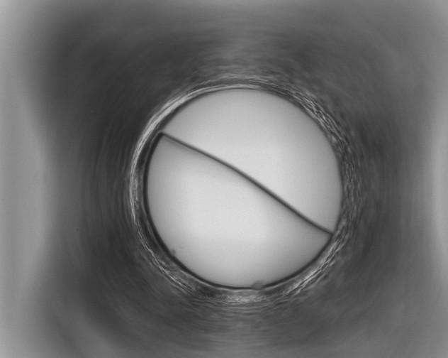X0000116830342200912181058