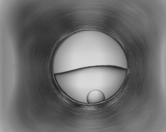 X0000116830349200912181059