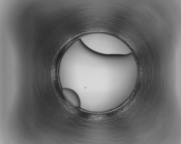 X0000116830351200912181059