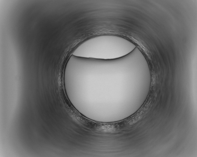 X0000116830353200912181059