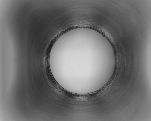 X0000116830354200912181059