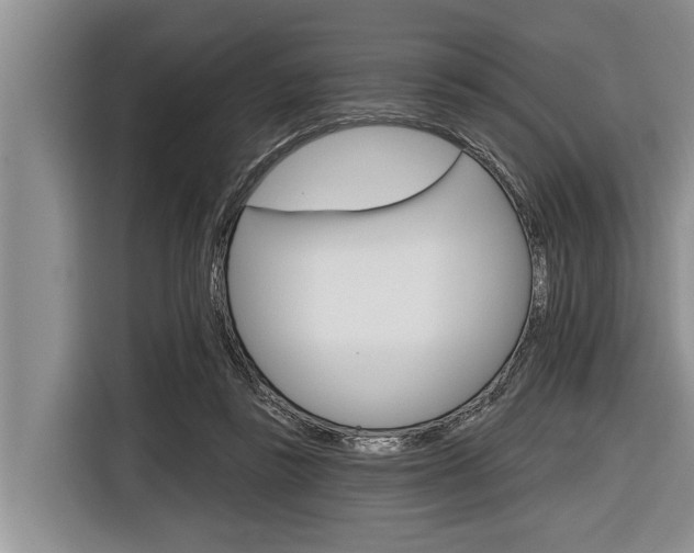 X0000116830355200912181059
