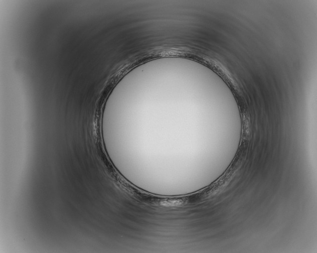 X0000116830357200912181059