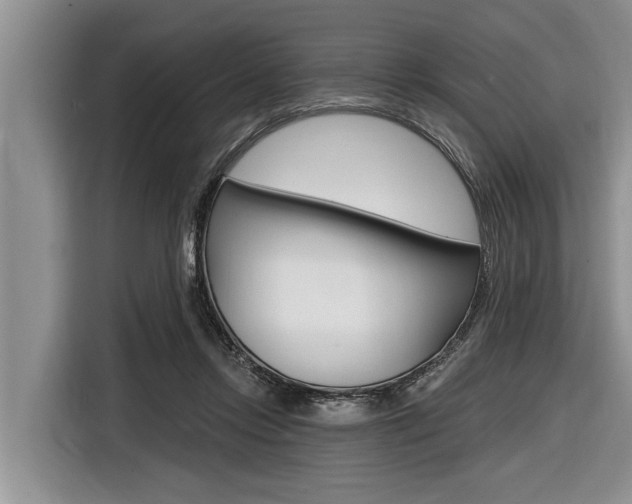 X0000116830358200912181059