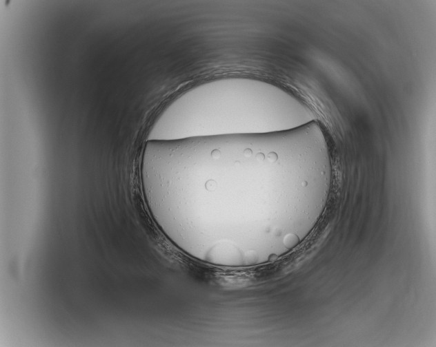 X0000116830359200912181059