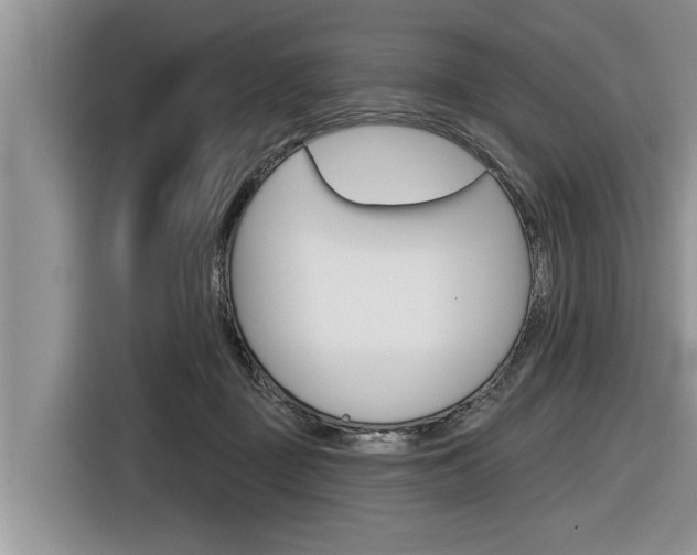 X0000116830363200912181059