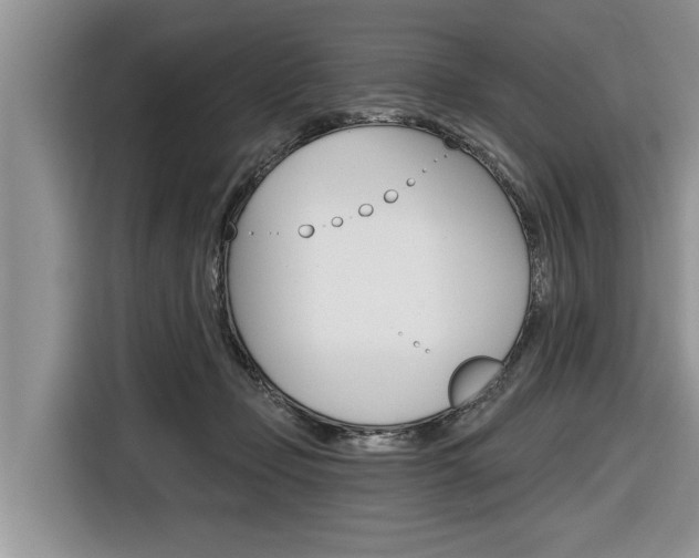 X0000116830365200912181059
