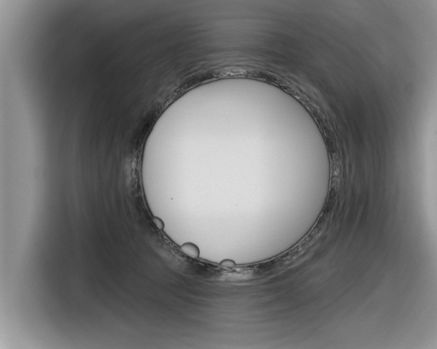 X0000116830369200912181059