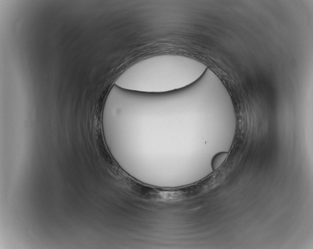 X0000116830371200912181059