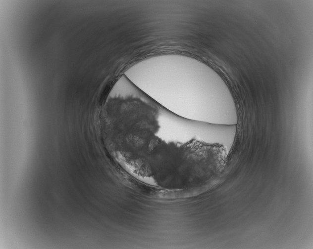 X0000116830373200912181059