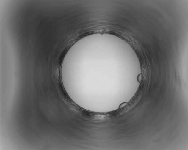 X0000116830375200912181059