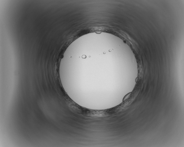 X0000116830377200912181059