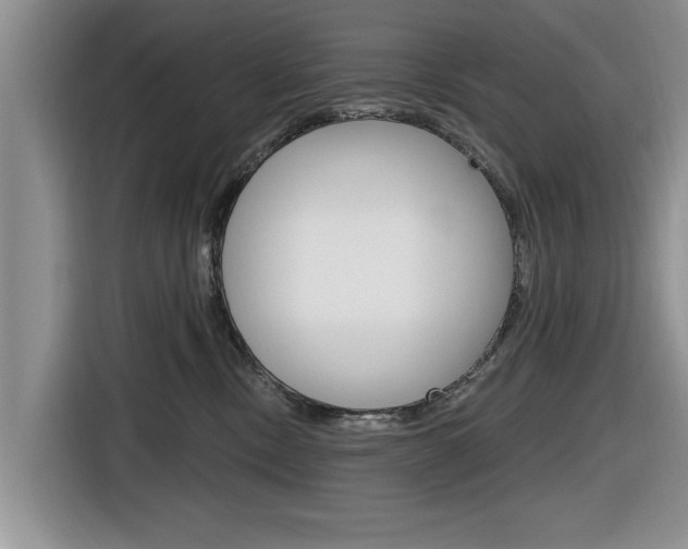 X0000116830378200912181059