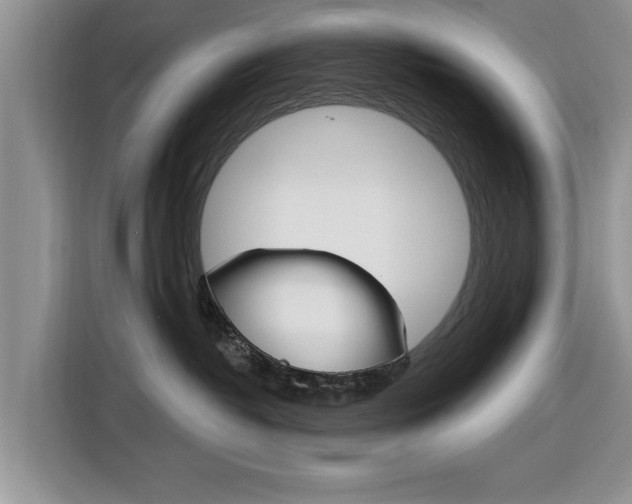 X0000116830382200912181059