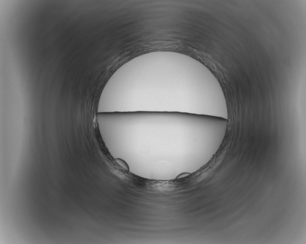 X0000116830383200912181059