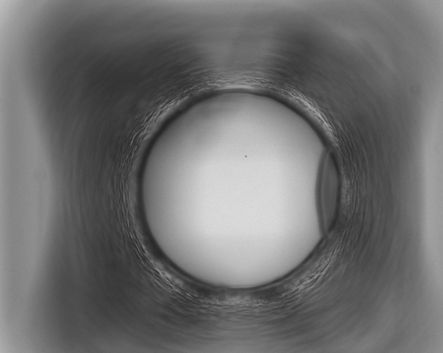 X0000116830385200912181058