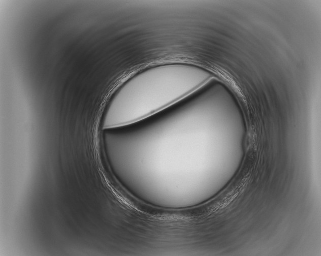X0000116830389200912181058