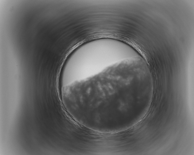 X0000116830390200912181058