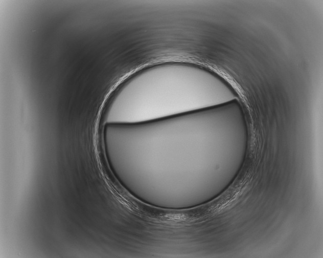 X0000116830391200912181058