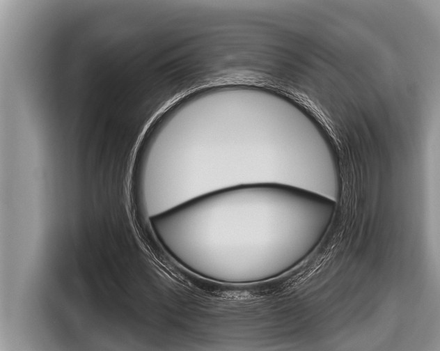 X0000116830392200912181058