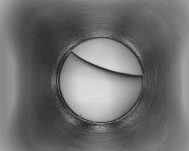 X0000116830394200912181058