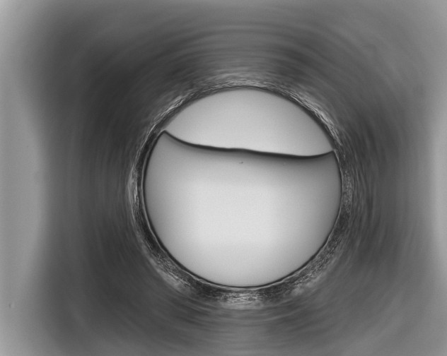 X0000116830398200912181058