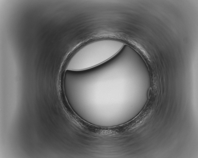 X0000116830399200912181058