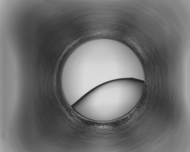 X0000116830400200912181058