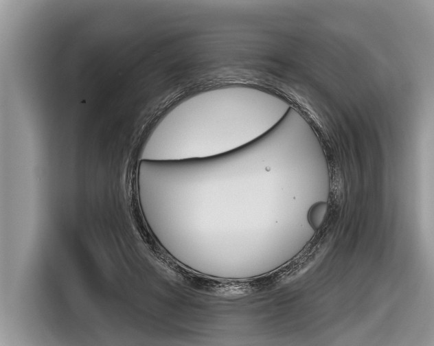 X0000116830402200912181058