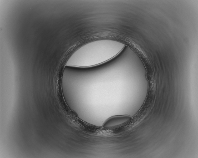 X0000116830403200912181058