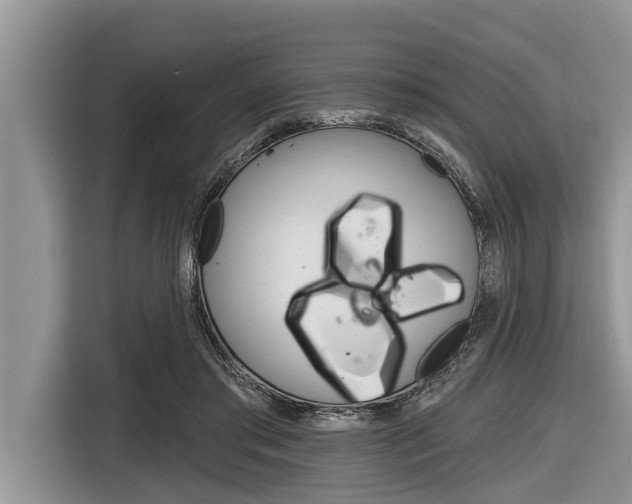 X0000116830405200912181058