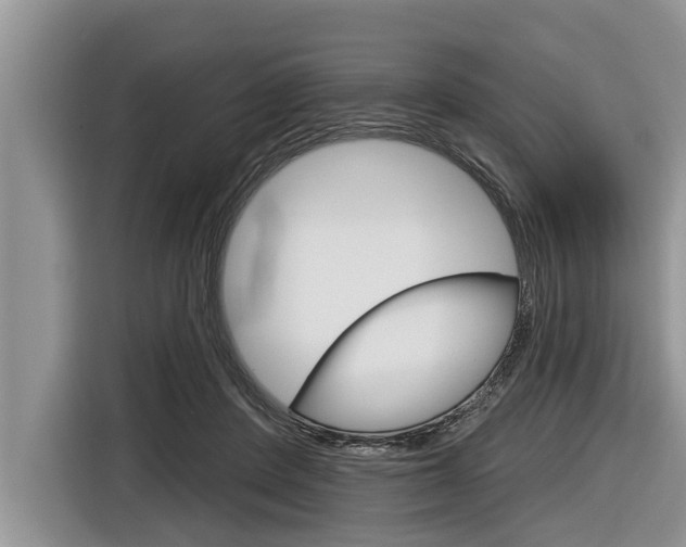 X0000116830408200912181058