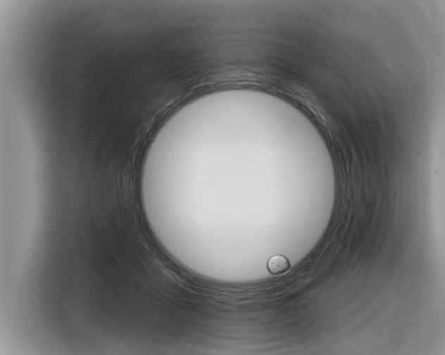 X0000116830411200912181058