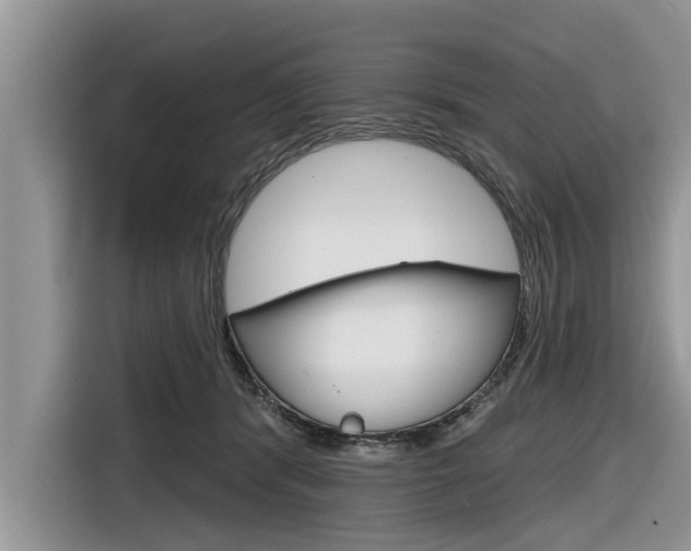 X0000116830416200912181058