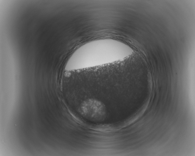 X0000116830418200912181058